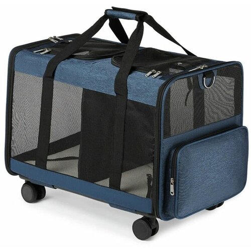 ���� �����-��������� ��� 2 �������� ����� �����, �� �������, ������ ������