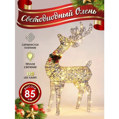 ���� ����� ���������� ������������ ���������� 80 �� ����������, ������ ������