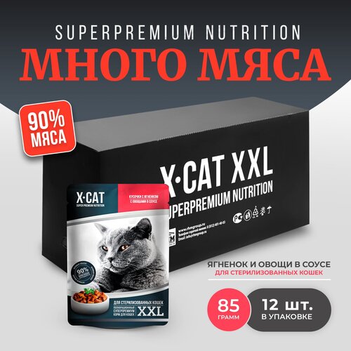       X-CAT XXL     ,  85  (12 )   -     , -,   