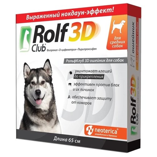  Rolf Club 3D     , 65    -     , -,   