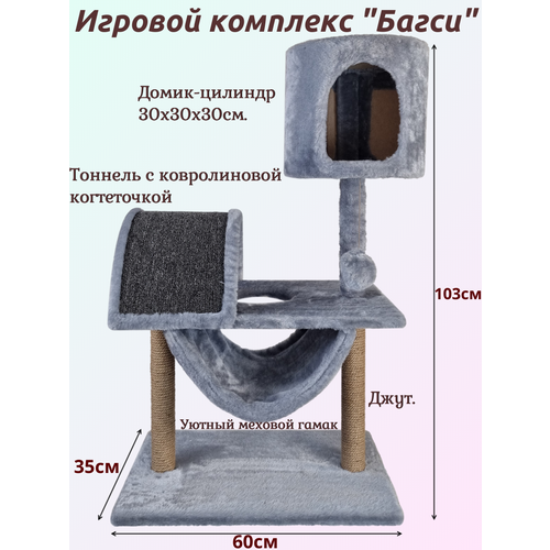 ���� ������� �������� 