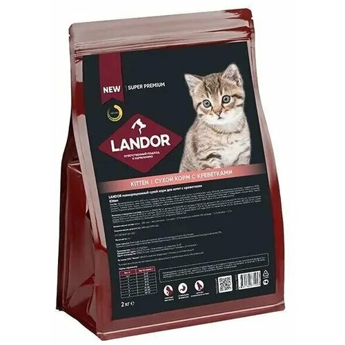  Landor KITTEN        2 