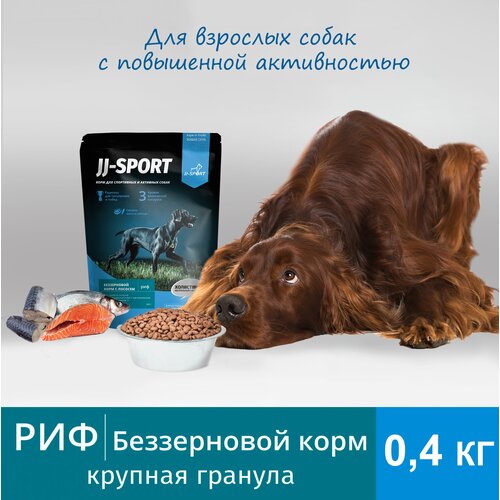       JJ-SPORT 