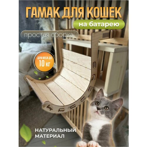 ���� ����� ��� ����� Bee Yeva, ������ ������