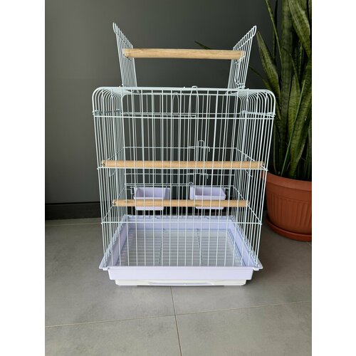 ���� ������ ��� ����, 48�37�72.5 ��, ������������� ����, ��������� ������, ��������, ������-��������, ���������� ��������, �����, ������ ������