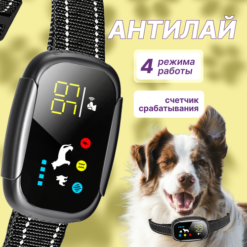 ���� ������� ������� PQ-310, ������ ������