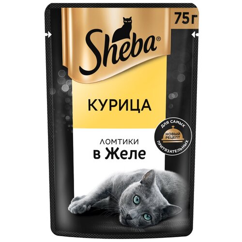  Sheba            -     , -  