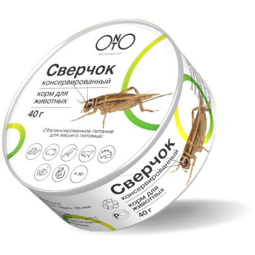 ���� ���������������� ���� ONTO ��� ��������, �������, 40 �, ������ ������