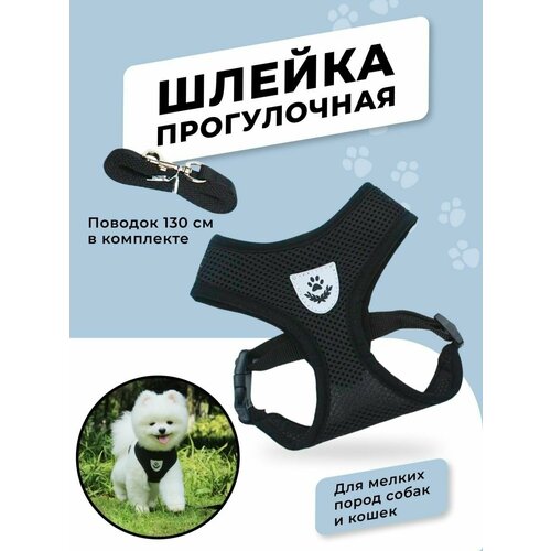 ���� ������ ��� ����� � �������� �2, ������ ������