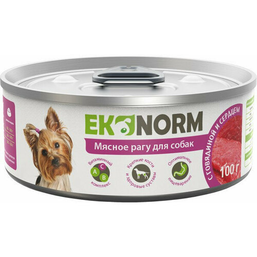  EKONORM     ,      ,   - 100   24    -     , -  