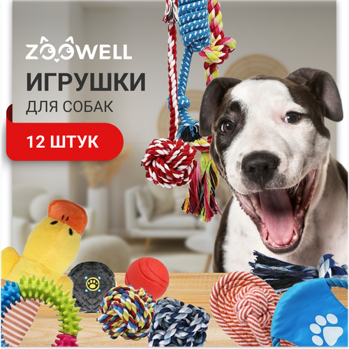        ,     ZooWell, 12    -     , -  