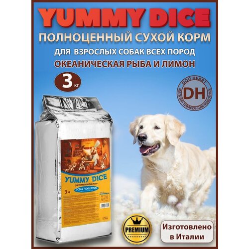  Yummy Dice -   - 3 .           .   -     , -,   