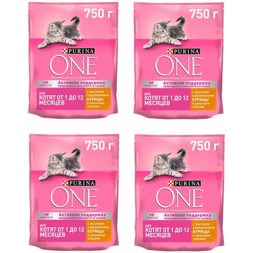    Purina ONE  ,        750   4    -     , -,   