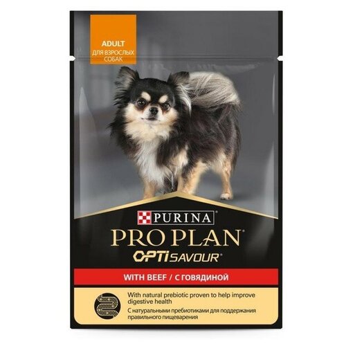    PRO PLAN  , , , 85    -     , -  