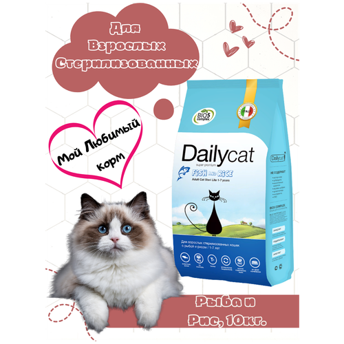    Dailycat          1,5 