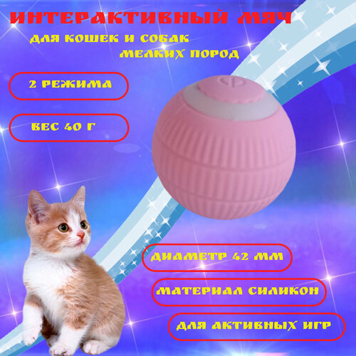    Automatic Cat Teaser Ball       -     , -  