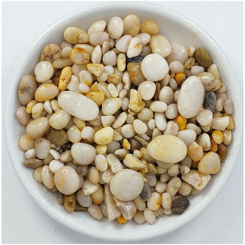 ���� ����� ��� ��������� - ������ ������� ��������� ���, 3-10 ��, 5 ��, ������ ������