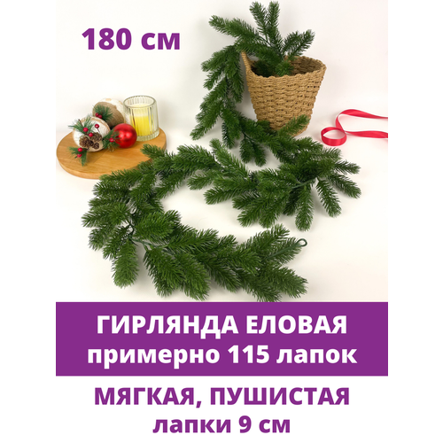 ���� ������ �������� (�������� 120 �����), ���������, ���������� ���������, ����� 180 ��., ������ ������