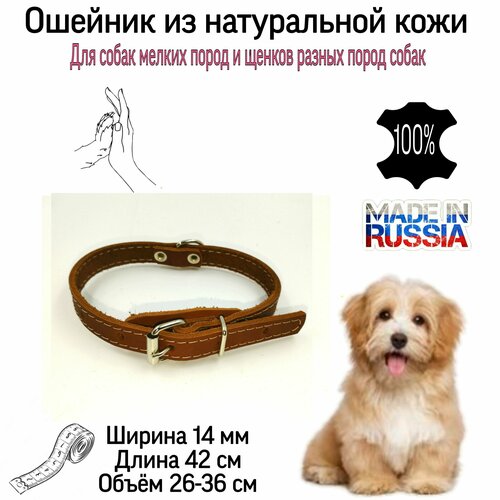 ���� ������� �� ����������� ���� ��� ����� ������ ����� ������ 14 ��. ����� 26-36. ���� ����������. ������� ������� ��� �����., ������ ������