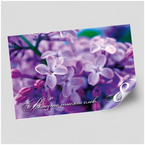 ���� ����������/������ �������������� �� 8 ����� / �-1 (84x60 ��.), ������ ������