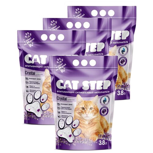    Cat Step Crystal Lavender 3,8  1.7 .   ,  4( 3.8  4)