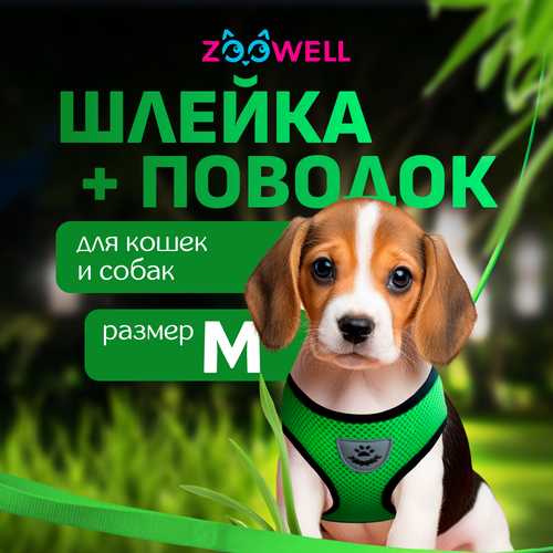         ZooWell ,  M    -     , -  