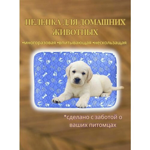 ���� ������������ ����������� ������� ��� ����� � �����, ������������� ������ ��� �������� �������� S, ������ ������