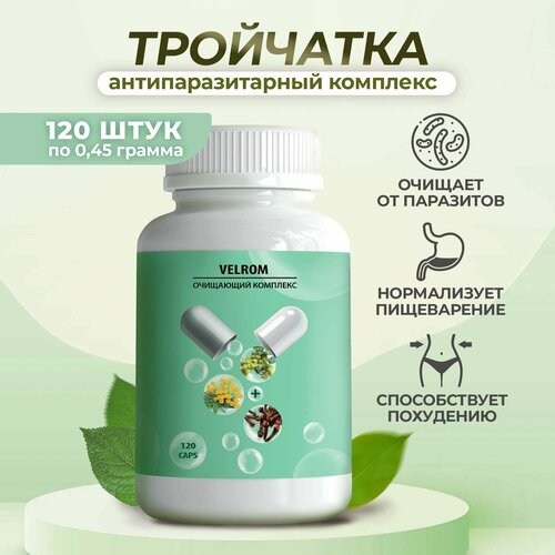 ���� ���������������� ���� ���� ���������. �������� ������ 120 ������, ������ ������