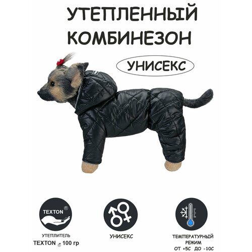 ���� ���������� ��� ����� DOGMODA ��������� ������� ����� 28 ��, ������ ������