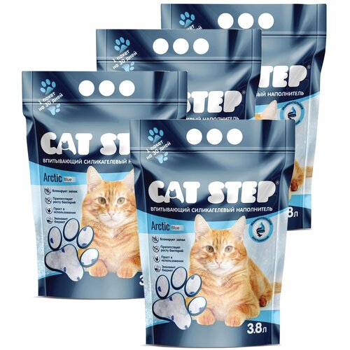    Cat Step Arctic Blue, 3.8  1.7 .   ,  4(3.8  4)