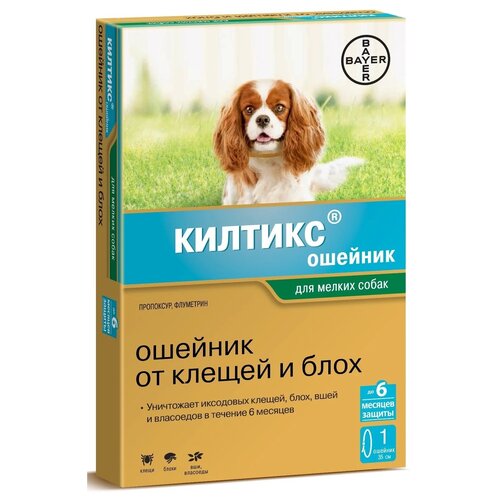  KILTIX        , ,     35  BAYER (1 )