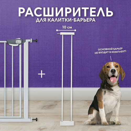 ���� �������������� ������, ����������� 10 �� ��� �������-�������, �����, CINLANZOO, ������ ������