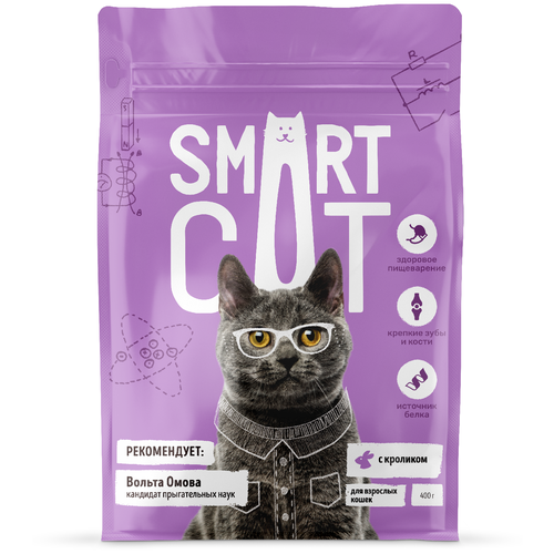 ���� ���� ��� ����� Smart Cat � �������� 400 �, ������ ������