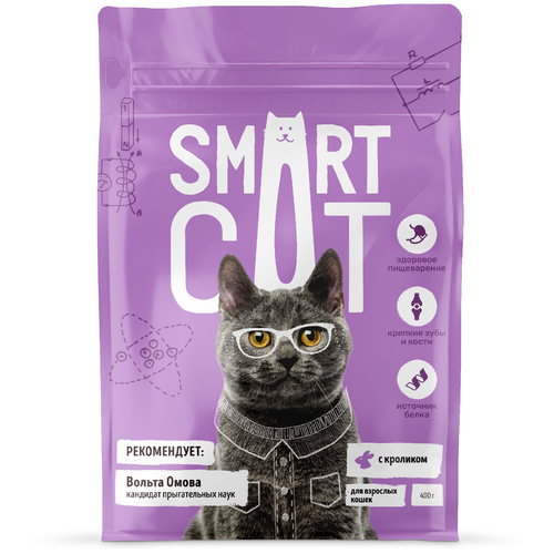   Smart Cat  ,  , 400    -     , -,   