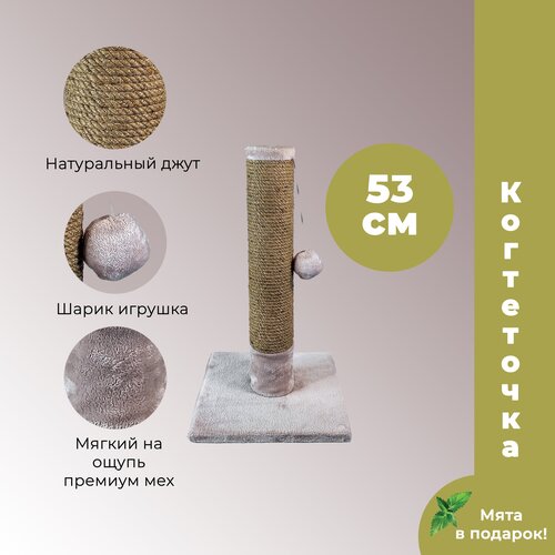 ���� ���������� ������� �� ����� 53 �� ��������� �����, �������� �������� �����, ����� �������, ������ ����������, ������ ������