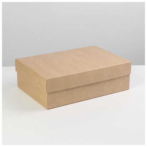 ���� ������� ���������� �������� ���������, ��������, 30 � 20 � 9 ��, ������ ������