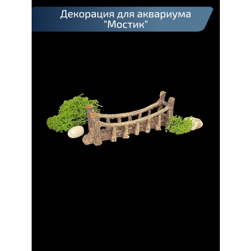 ���� ��������� ������������ ������ ��� ��������� � ����������, ������ ������