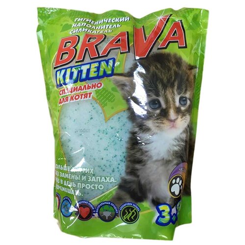    Brava Kitten, 3.8, 1 .   -     , -  