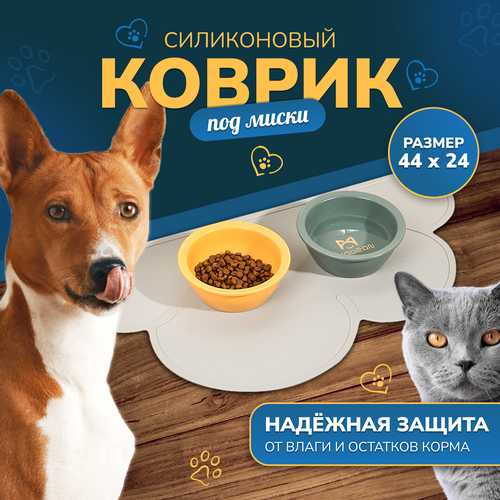 ���� ������������ ����������� ������ ��� ����� ��� ����� � �����, ������, ������ ������