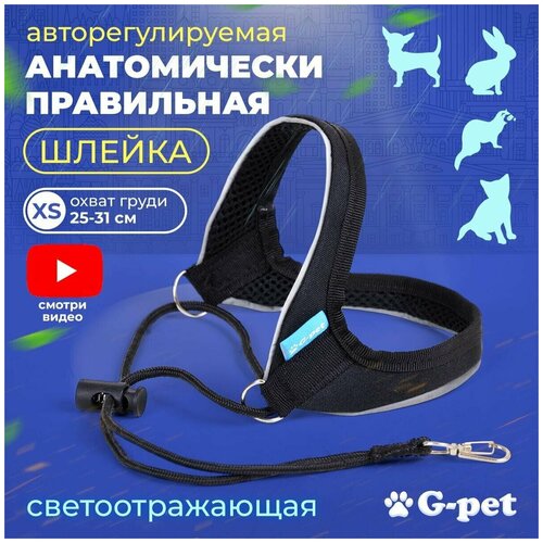        ,   3  G-pet  - XS (25-31 )  , , ,    -     , -  