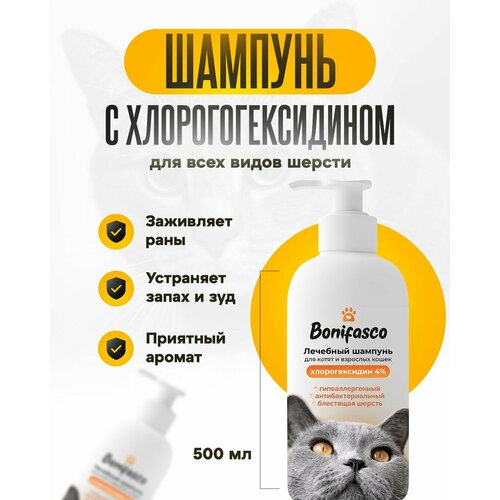 ���� ������� ��� ����� � �������� 