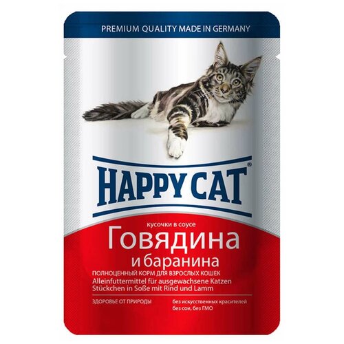      Happy Cat  ,   32 .  100  (  )   -     , -,   