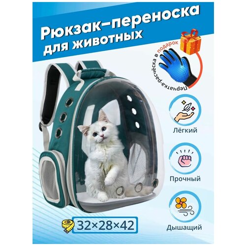 ���� ������ ��������� ��� �����, ����� � �������� / ������ � ������������� ��� �������� �� 7 ��, ������ ������