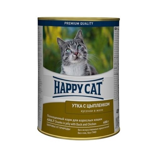  Happy cat         0,4  21867 (2 )   -     , -,   