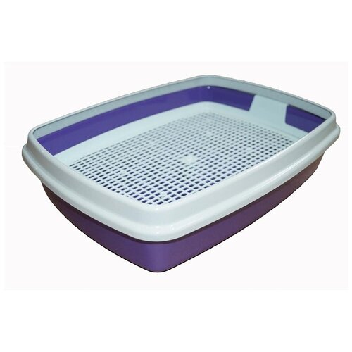 ���� �������� ������ ��� ����� ��������� ����� ���� � ������ � ��������, ������ ������