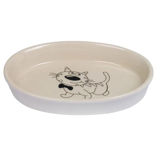 ���� ����� ��� ����� 