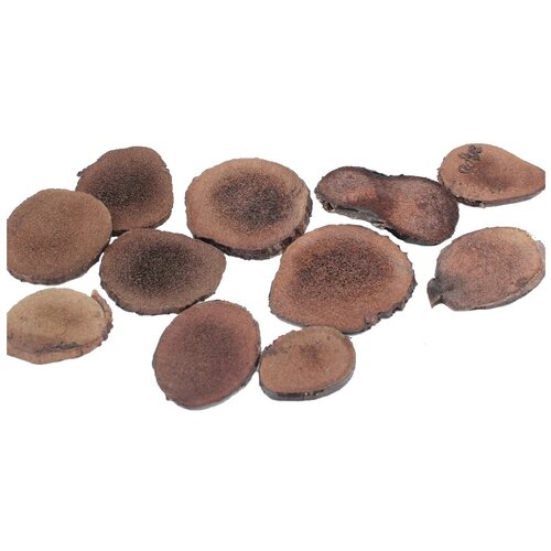 ���� ������� ������� ��������� ������ ������ ������, 30 �, ������ ������