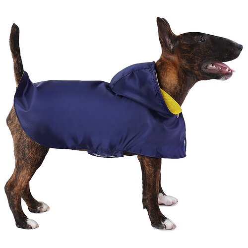 ���� �������� ��� ����� ���������� ����� , S �������, ������ ������