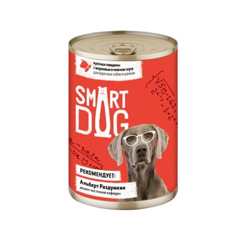  Smart Dog               2216 43738 0,4  43738 (34 )   -     , -,   