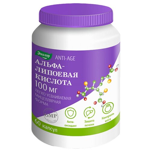 ���� �����-�������� ������� ����., 60 ��., ������ ������